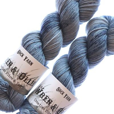 Wren and Ollie Sock Yarn 100gm - Glisten