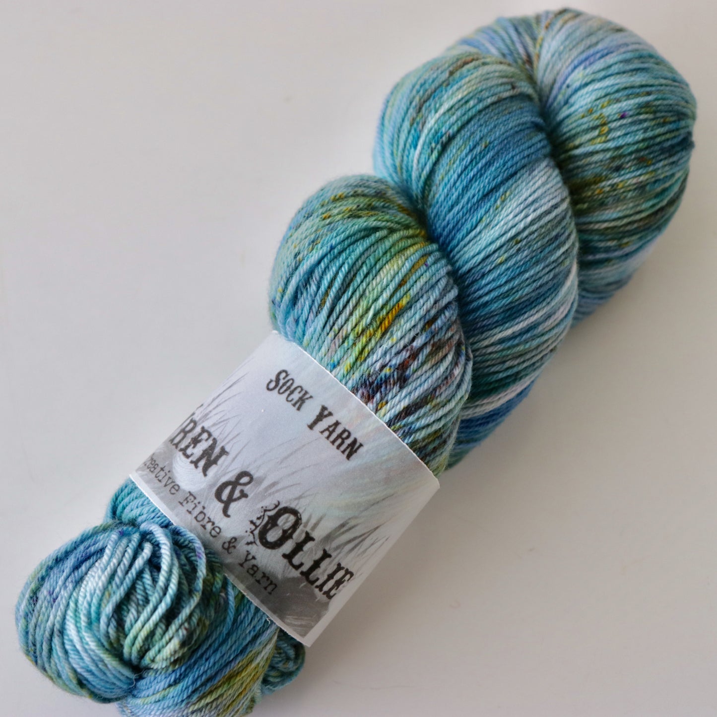 Wren and Ollie Sock Yarn 100gm - Shiver