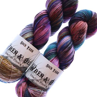 Wren and Ollie Sock Yarn 100gm - Archimedes